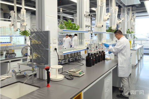 固廢堆里掘財(cái)富 粉煤灰“燒”出循環(huán)經(jīng)濟(jì)新產(chǎn)業(yè)